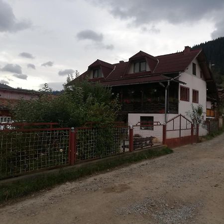 Hotel Casa Cozorici Sadova  Exterior foto